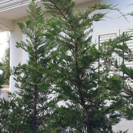 Holiday home I Gerani