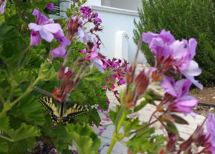 Tatil Evi I Gerani *